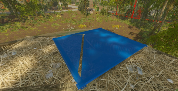 99.jpg